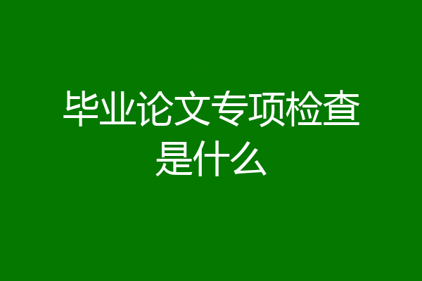毕业论文专项检查是什么