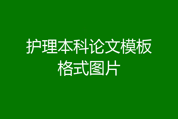 护理本科论文模板格式图片