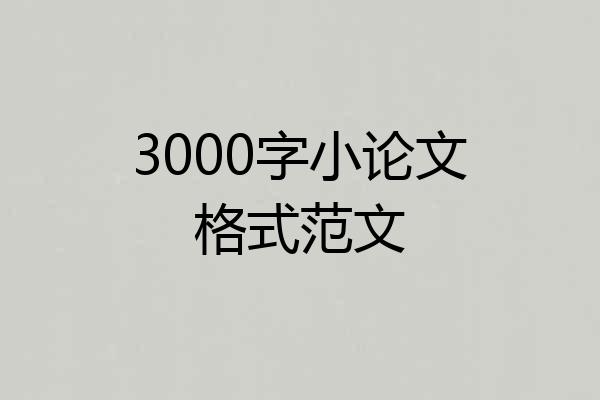 3000字小论文格式范文