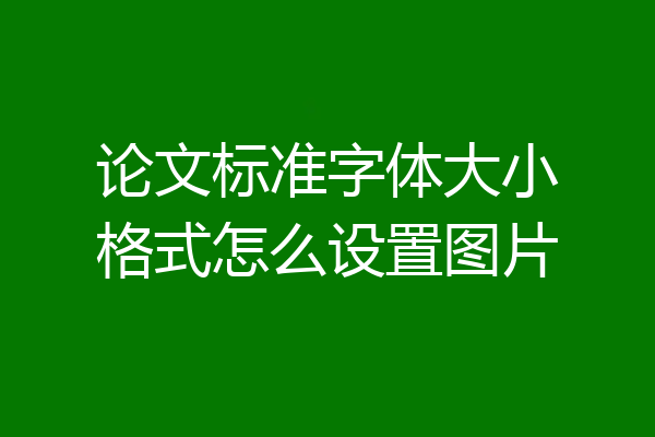 论文标准字体大小格式怎么设置图片