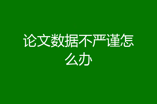 论文数据不严谨怎么办