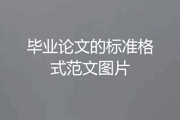 毕业论文的标准格式范文图片
