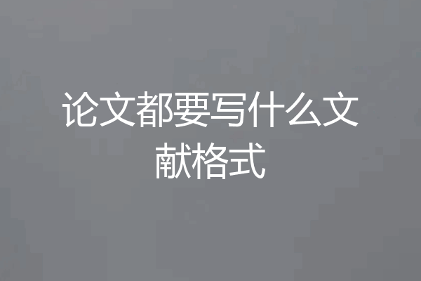 论文都要写什么文献格式