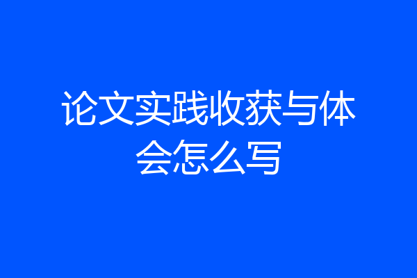 论文实践收获与体会怎么写