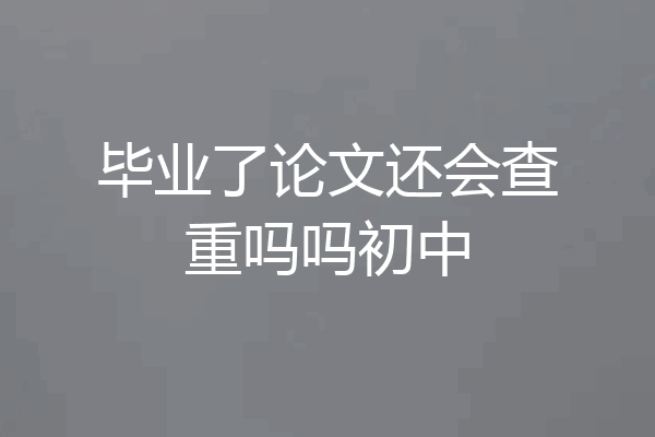 毕业了论文还会查重吗吗初中