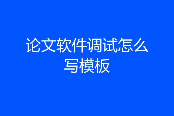 论文软件调试怎么写模板