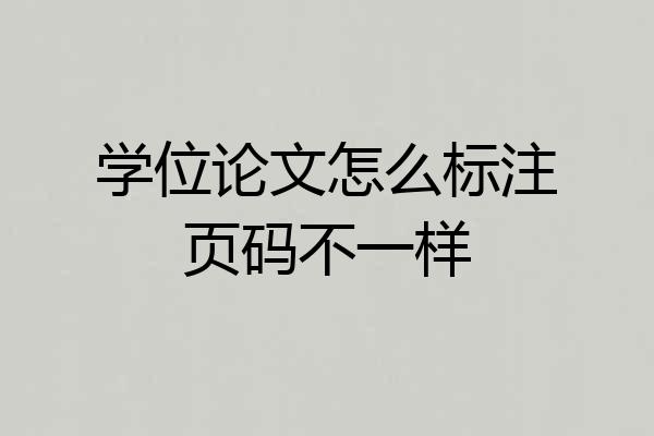 学位论文怎么标注页码不一样