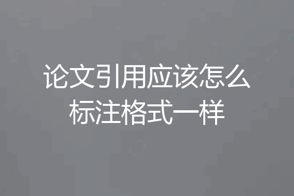 论文引用应该怎么标注格式一样