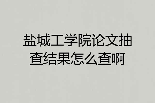 盐城工学院论文抽查结果怎么查啊