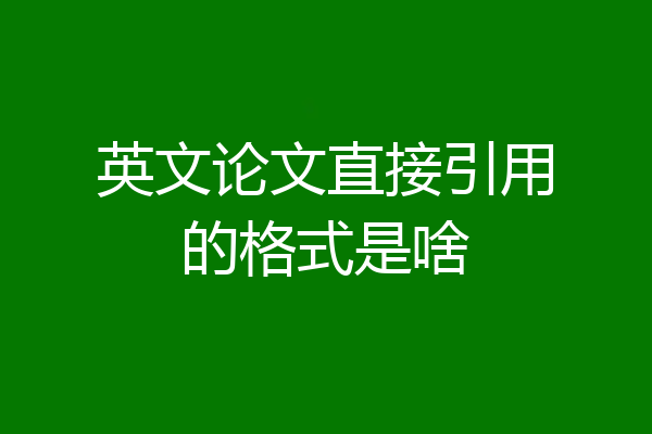 英文论文直接引用的格式是啥