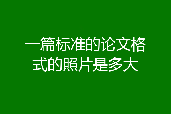 一篇标准的论文格式的照片是多大