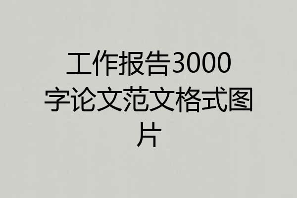 工作报告3000字论文范文格式图片