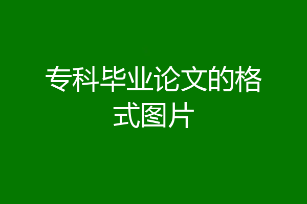 专科毕业论文的格式图片