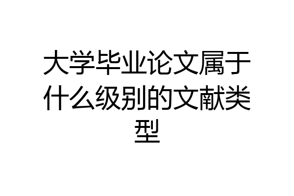 大学毕业论文属于什么级别的文献类型