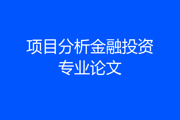 项目分析金融投资专业论文