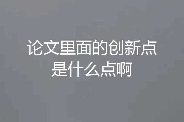 论文里面的创新点是什么点啊