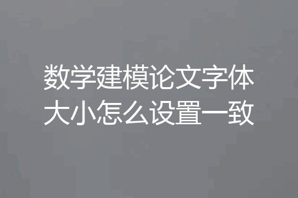 数学建模论文字体大小怎么设置一致