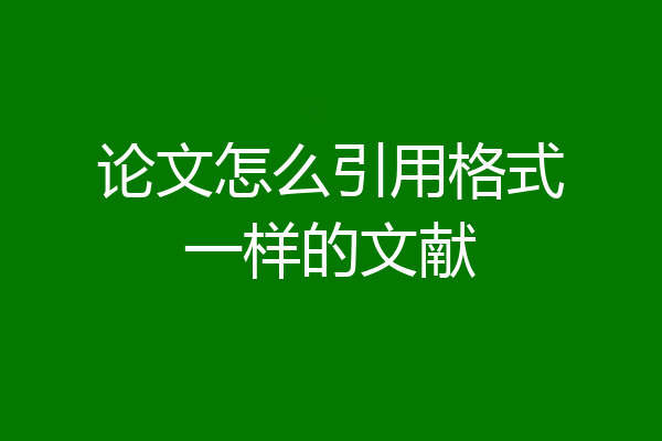 论文怎么引用格式一样的文献