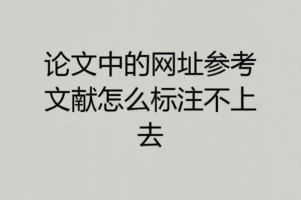 论文中的网址参考文献怎么标注不上去