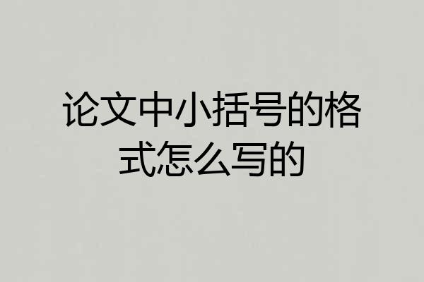论文中小括号的格式怎么写的