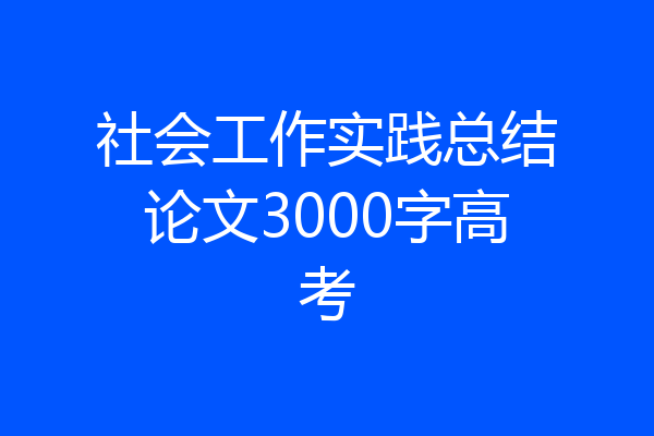 社会工作实践总结论文3000字高考