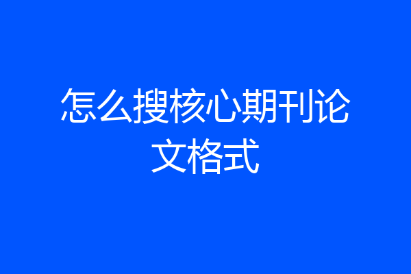 怎么搜核心期刊论文格式