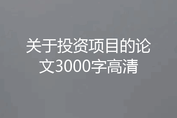 关于投资项目的论文3000字高清