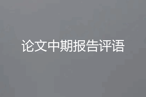 论文中期报告评语
