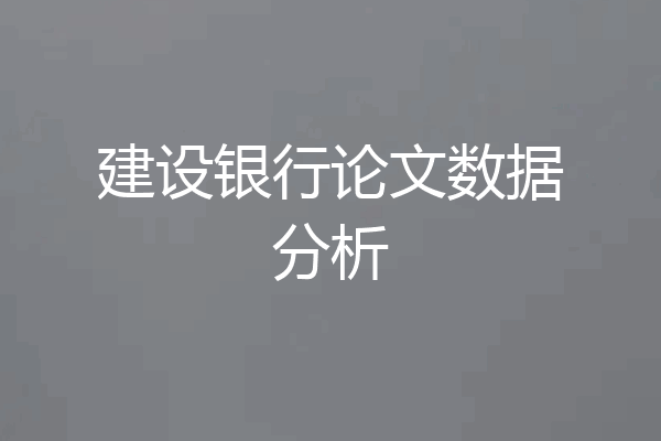 建设银行论文数据分析