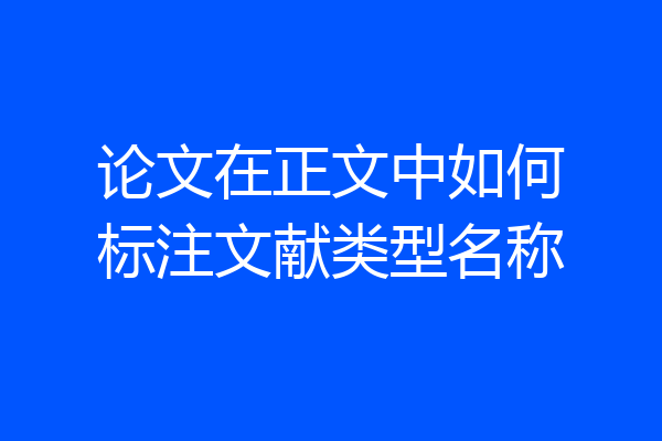 论文在正文中如何标注文献类型名称