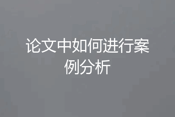 论文中如何进行案例分析
