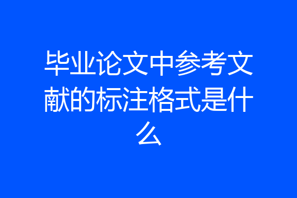 毕业论文中参考文献的标注格式是什么