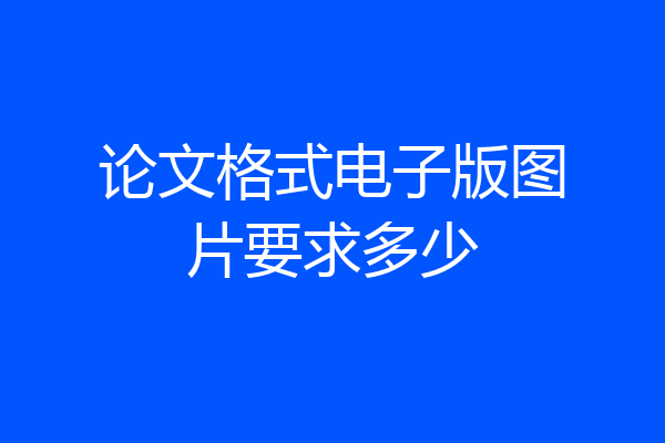 论文格式电子版图片要求多少