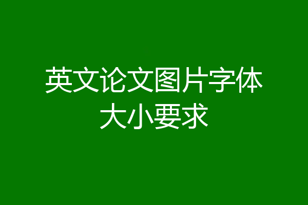 英文论文图片字体大小要求