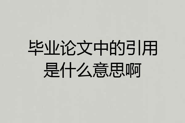 毕业论文中的引用是什么意思啊