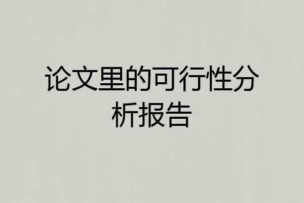 论文里的可行性分析报告