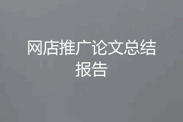 网店推广论文总结报告