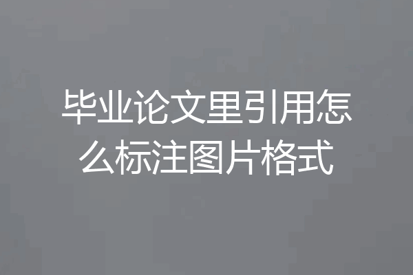 毕业论文里引用怎么标注图片格式
