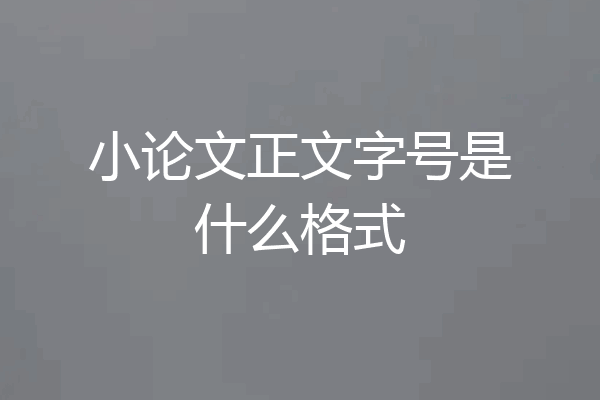 小论文正文字号是什么格式
