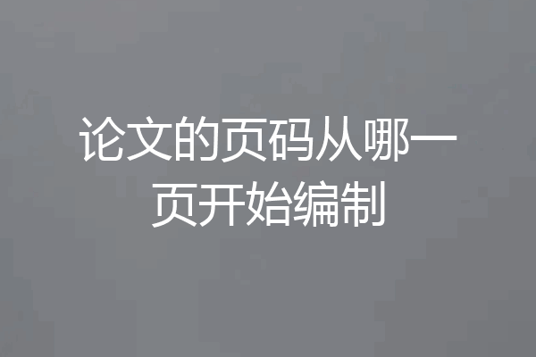 论文的页码从哪一页开始编制