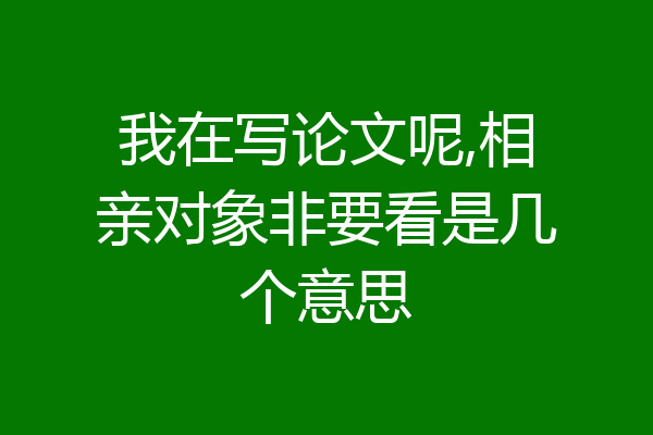 我在写论文呢,相亲对象非要看是几个意思