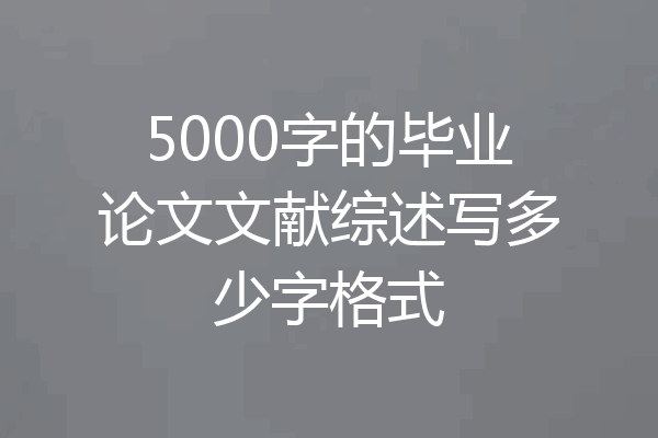 5000字的毕业论文文献综述写多少字格式