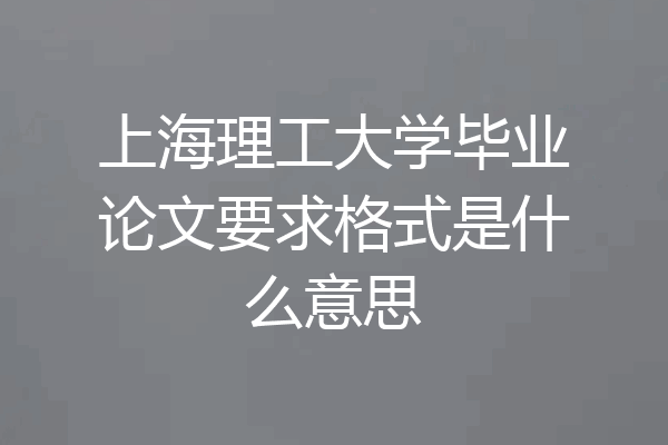 上海理工大学毕业论文要求格式是什么意思