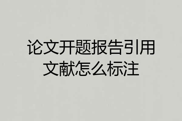 论文开题报告引用文献怎么标注
