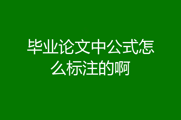 毕业论文中公式怎么标注的啊