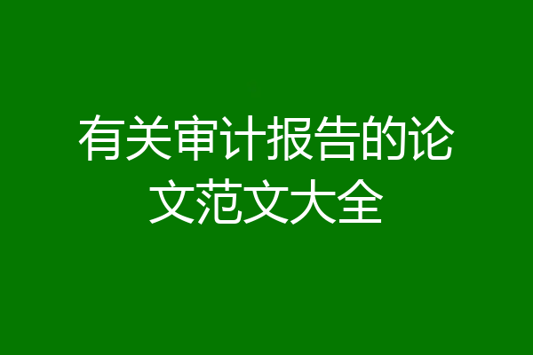 有关审计报告的论文范文大全