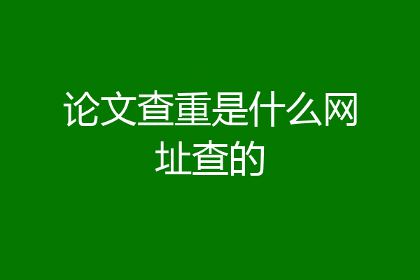 论文查重是什么网址查的