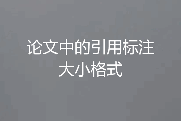 论文中的引用标注大小格式