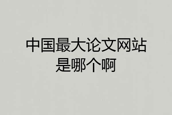 中国最大论文网站是哪个啊
