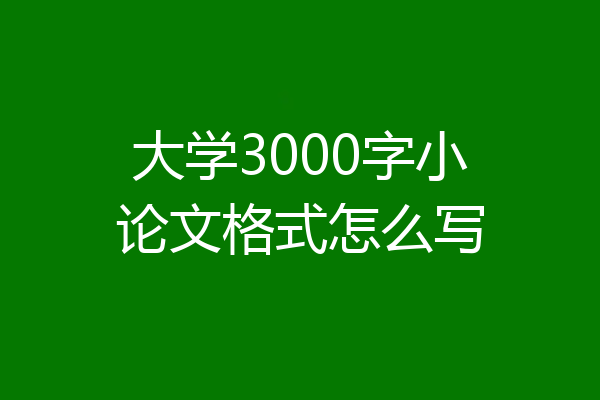 大学3000字小论文格式怎么写